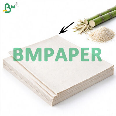 300g Unbleached Sugarcane Bagasse Pulp Sheet for Making Biodegradable Bowl Cup