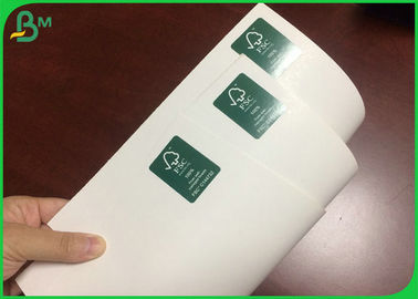 300GSM 610*860MM رنگ سفید C1S تخته عاج برای ساخت جعبه تاشو