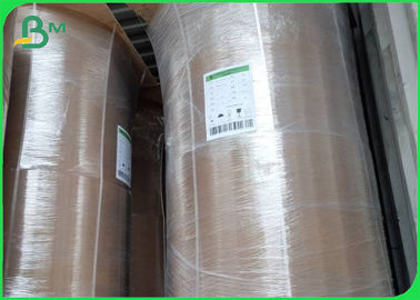 رول کاغذ کرفت بامبو زیست محیطی 50GSM - 250GSM
