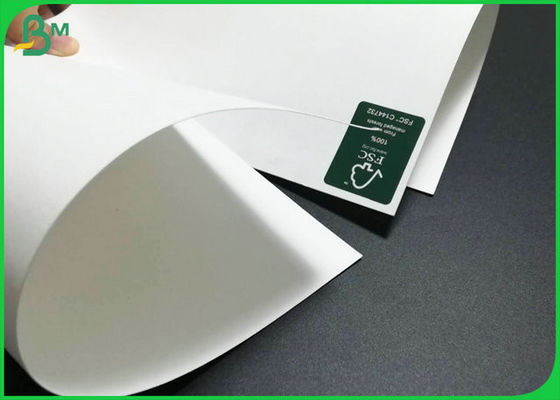 300gsm C1S Ivory Bristol Board سختی خوب FDA برای ساخت سینی تأیید شده است