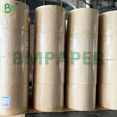 رول های کاغذ استوک فنجان با روکش PE 190+10 گرم بر متر مربع برای فنجان و کاسه های کاغذی