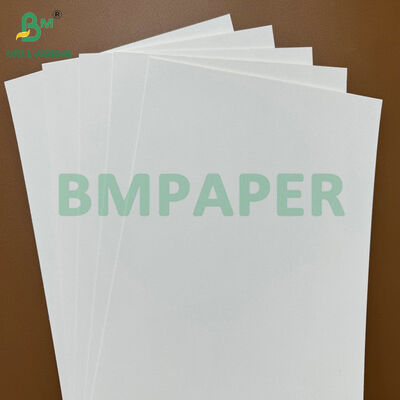 200gm مواد خام جذب کننده محیط زیست کاغذ پایه کوستر کاغذ پوشاندن برای تولید آبجو Mat & Cup Mat
